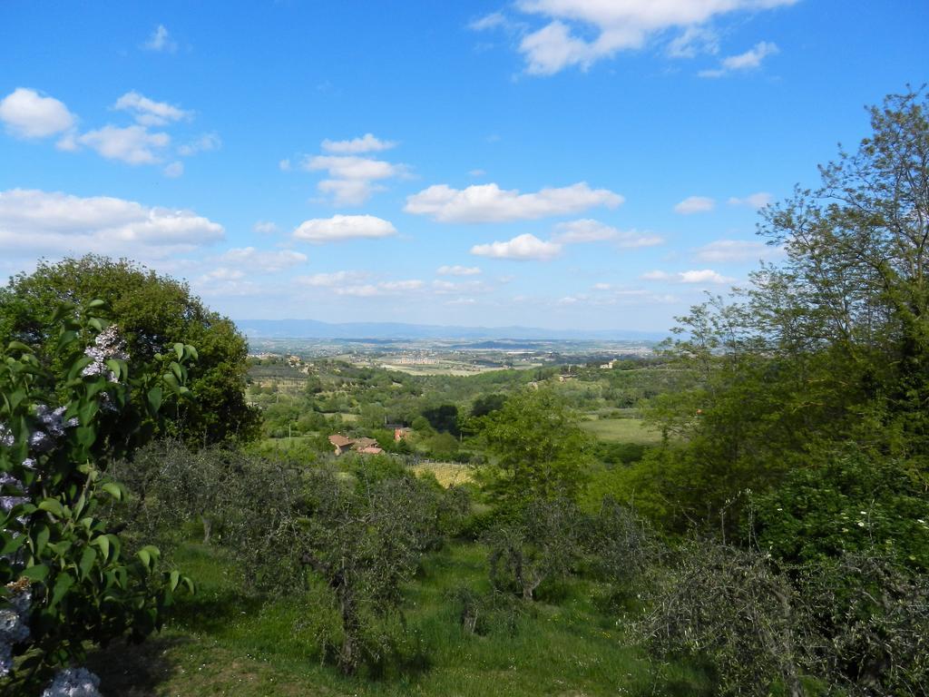 Montepulciano Stazione Pacifico 빌라 외부 사진