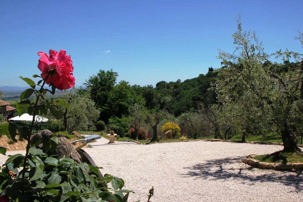 Montepulciano Stazione Pacifico 빌라 외부 사진